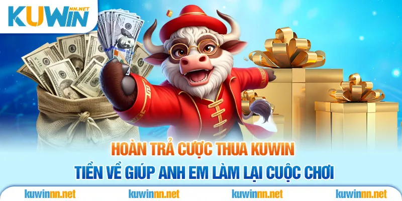 Hoàn Trả Cược Thua Kuwin Cơ Hội Nhận Về 2% Mỗi Ngày